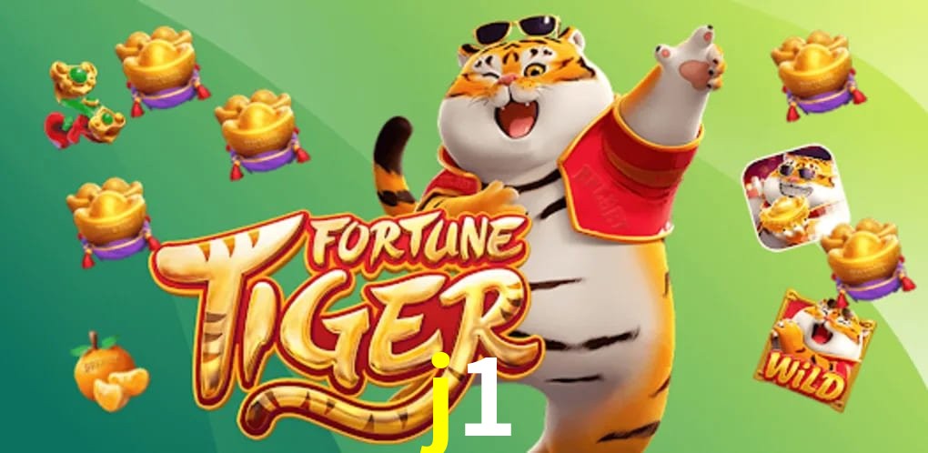 Platform Technology j1